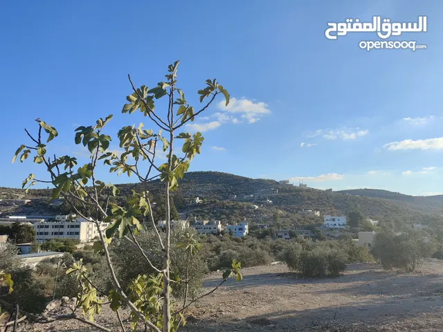 Mixed Use Land for Sale in Tulkarm Illar