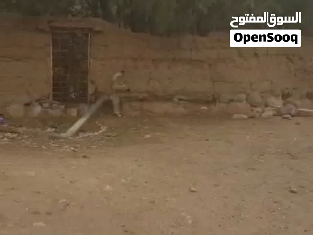ارضية دار الحجر على الخط الرئيسي وعلى دخل دار الحجر ومسوره وأرض بياض وجهه وحقي انا مرفق لكم فيديو