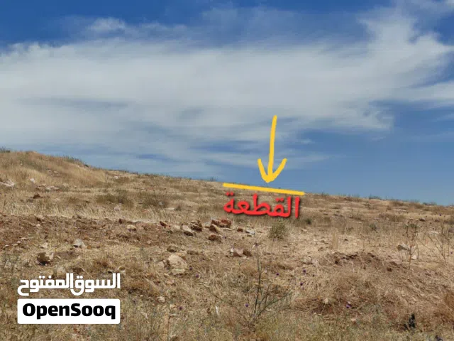 ارض للبيع شفا بدران