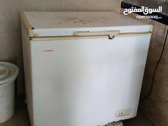 Homer freezer for sale