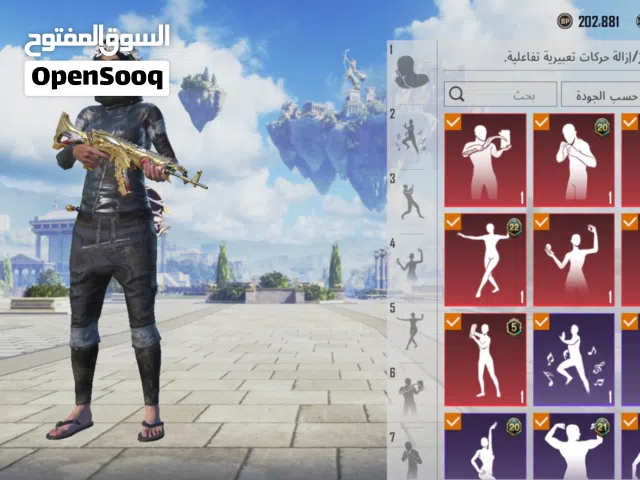 Pubg Accounts and Characters for Sale in Amman