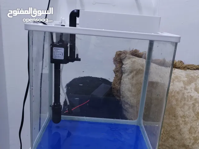 حوض أسماك وسلاحف برمائية اخو الجديد