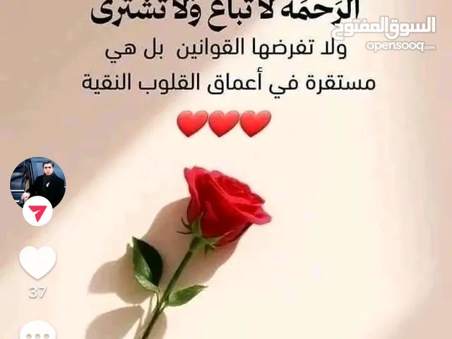 شركات جاهزه للبيع باcbl