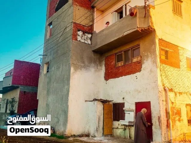 مزرعة في مصر