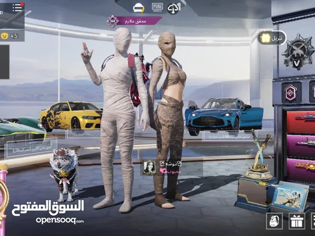 Pubg Accounts and Characters for Sale in Irbid