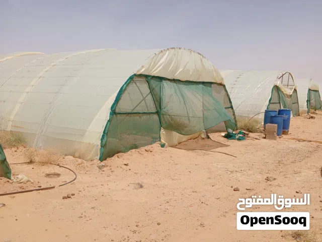 بيوت محمية عاديه للبيع