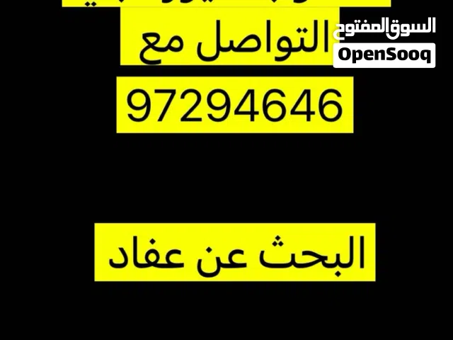 مطلوووووووب طيوورلتبني او للبيع