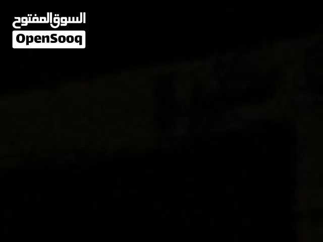 ايفون 17 عادي مسكر بلكرتونه