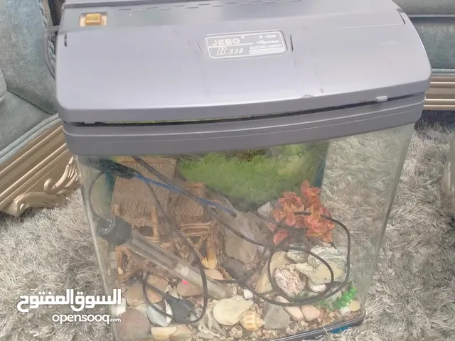 حوض سمك للبيع