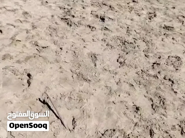 قطعا زراعي