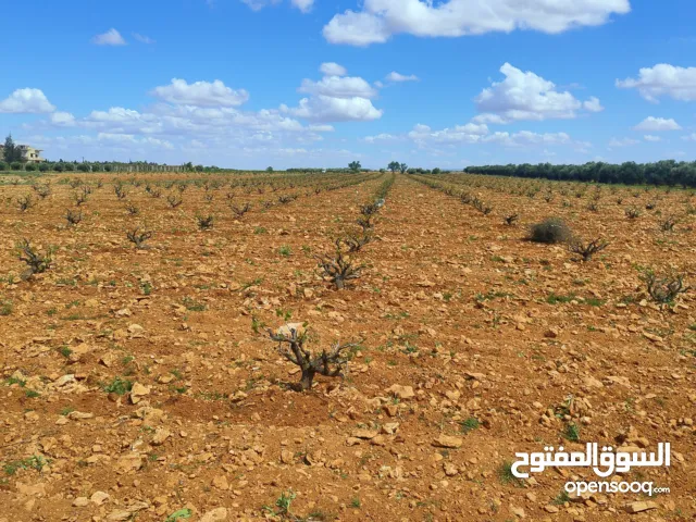 ارض زراعية سكنية تصلح لكافة المشاريع