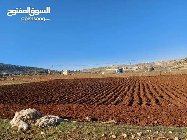 Farm Land for Sale in Amman Jubaiha