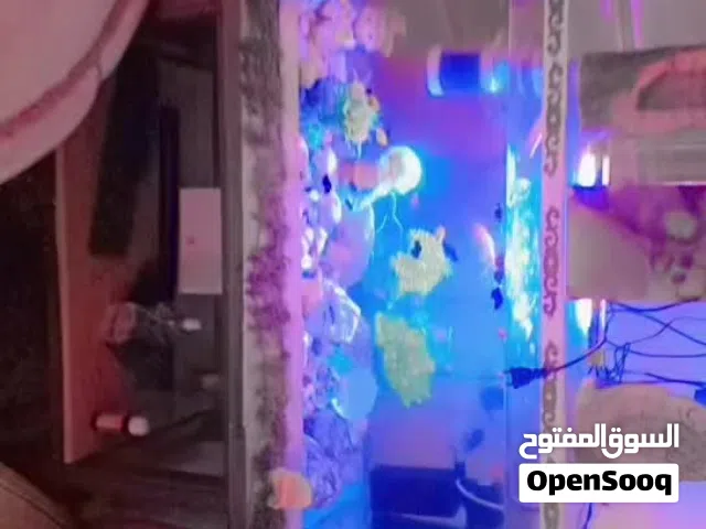 حوض سمك فااخر