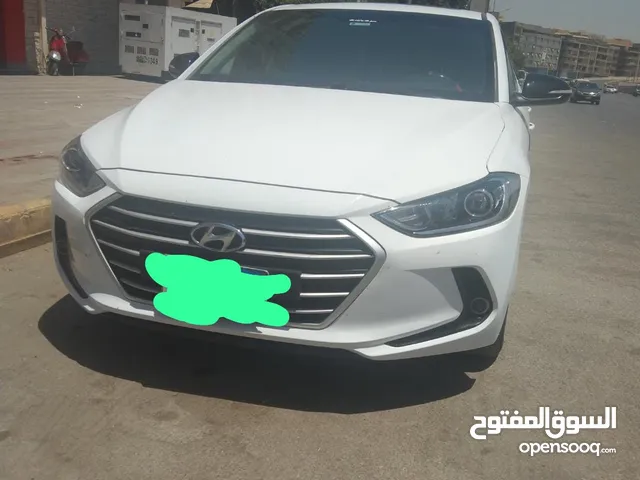 Used Hyundai Elantra in Alexandria