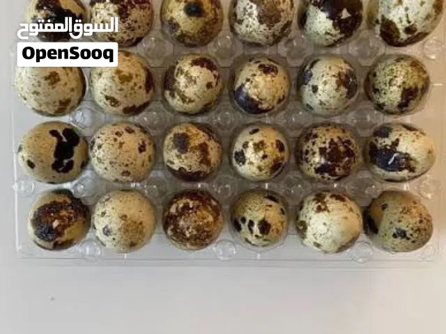 بيض فري مائدة