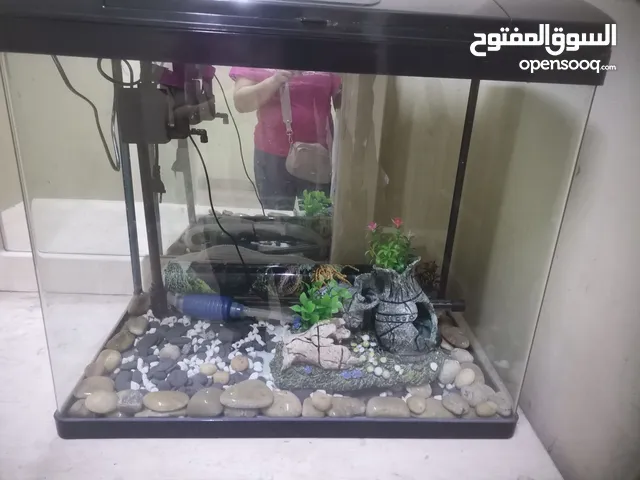 Aquarium / 40 BHD