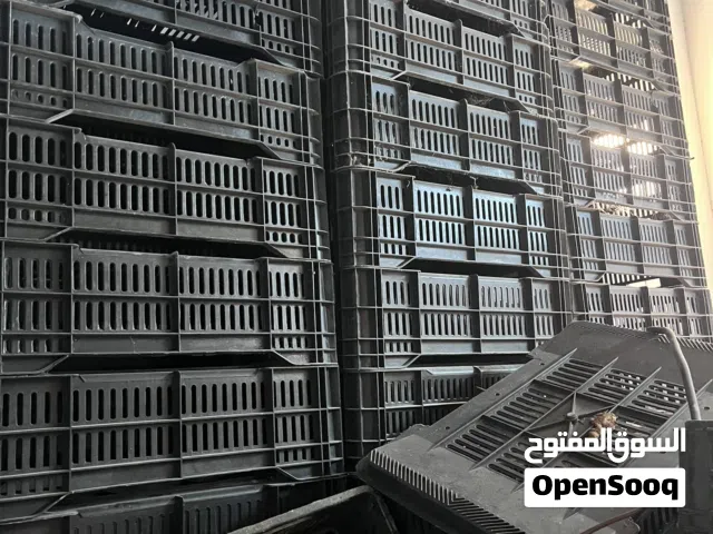 قابيات حجم كبير وصغير كلهم نظاف