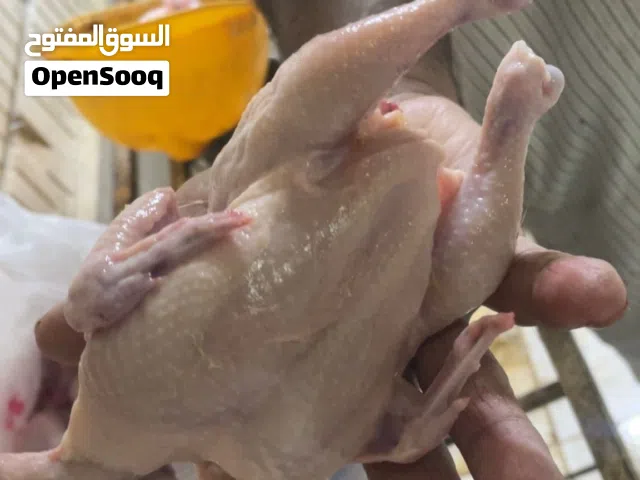 دجاج طازج بيبي جيكن