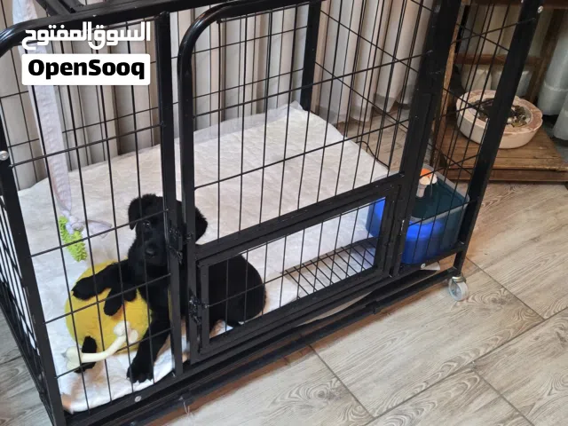 قفص للكلاب او للقطط مع جرار حجم كبير