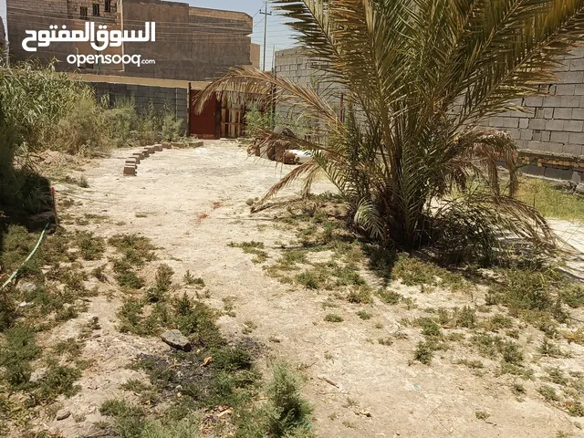 Farm Land for Sale in Basra Al-Jazzera