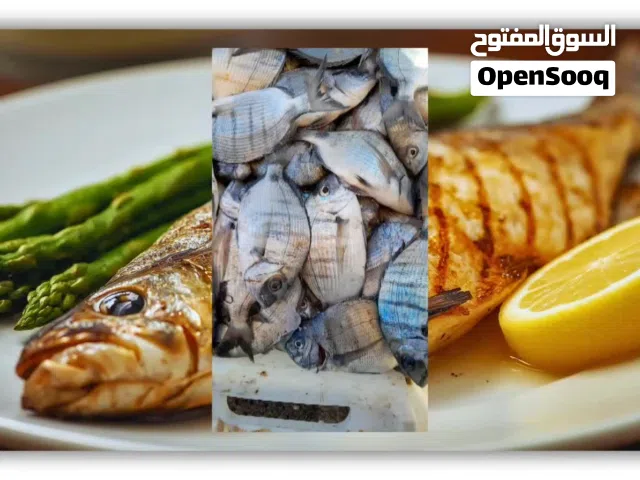 مرحبا بيع جميع انواع الأسماك