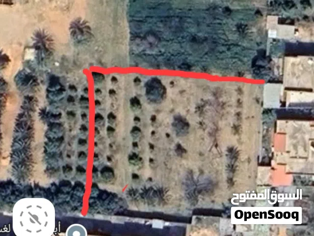 ارض للبيع قصر بن غشير