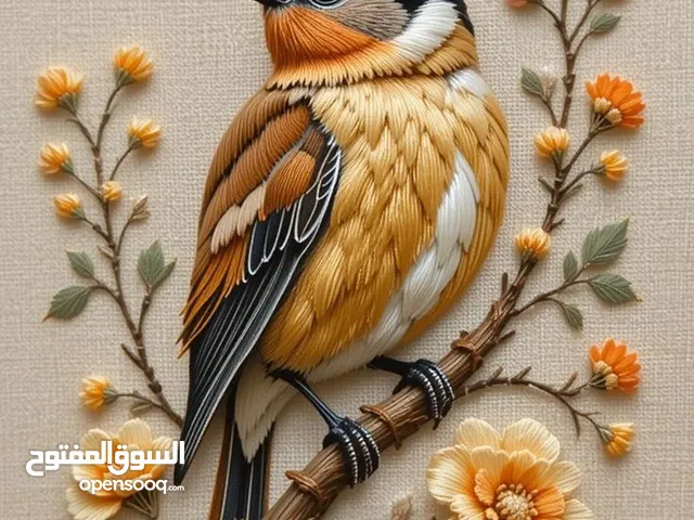 مطلوب بندوق حسون