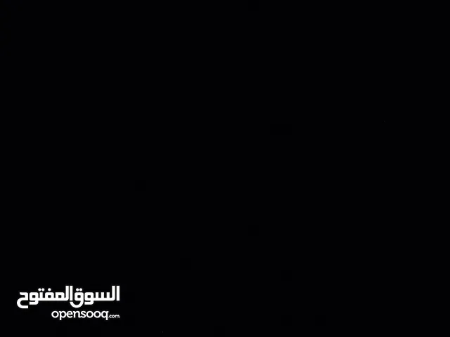 علي الشوبكي