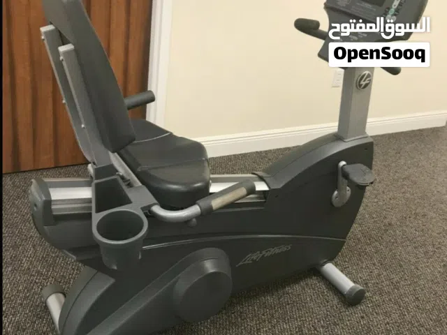 Heavy Duty Lifefitnees Recumbent bike