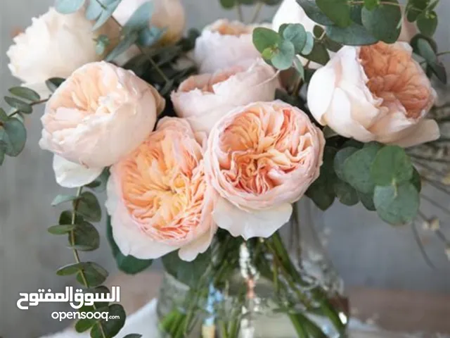 عمله نادره
