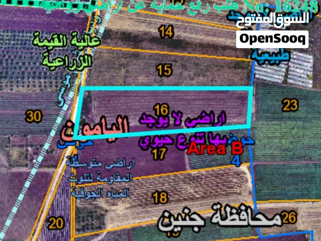 Farm Land for Sale in Jenin Al-Yamun