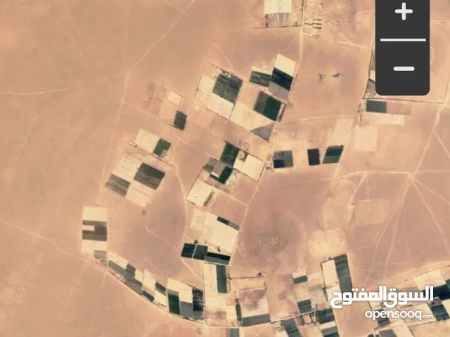 Studio Farms for Sale in Sabha Other
