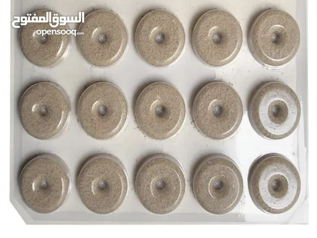 اقراص تعقيم البرك من البعوض