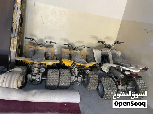 2012 Can-Am Renegade