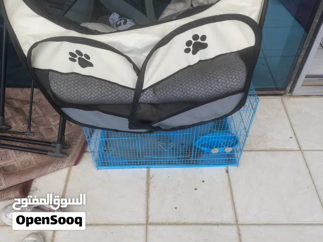cat house for sale