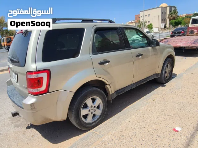 2010 فورد اسكايب XLT