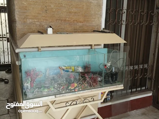 حوض اسماك للبيع
