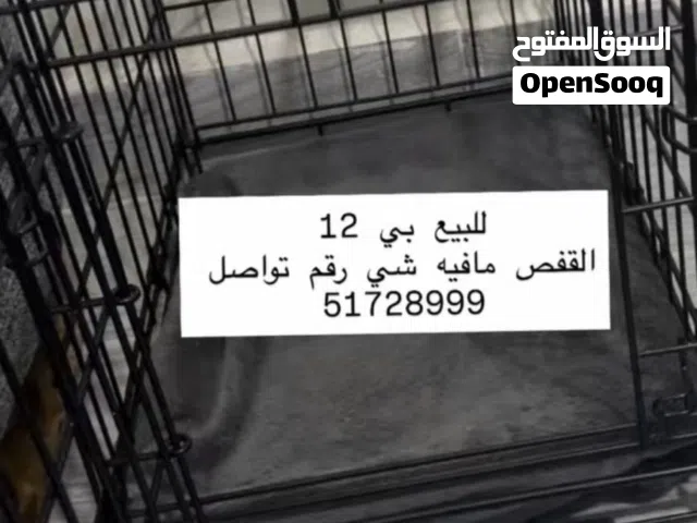 القفص مافيه شي وبعد كان يكفي قطاوتي الاثنين ماشاءالله والقفص مافيه شي ولا كسر