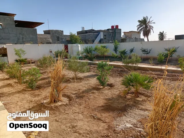 منزل مع حديقة كبيرة / اتصال على الرقم بالوصف لمعرفه المعلومات