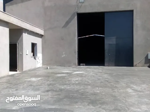 هنقر للإيجار مساحته 500 متر السقف سندوتش عين زارة جزيرة الفردوس
