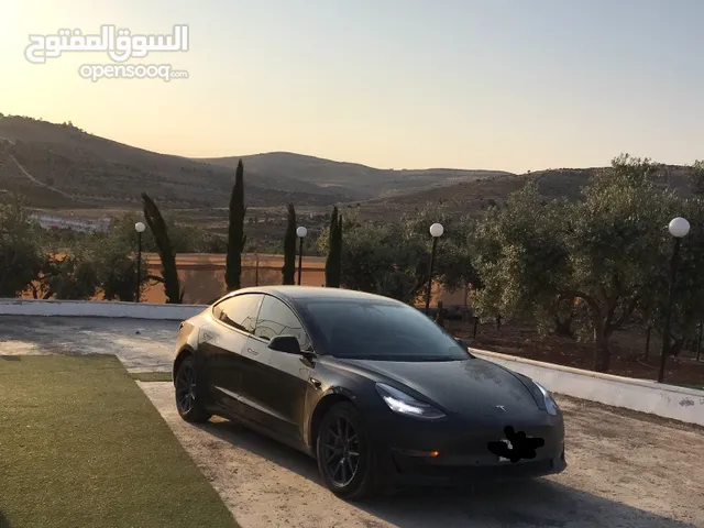 تيسلا مودل 3 ستاندر بلس