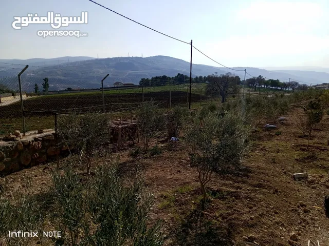2 Bedrooms Farms for Sale in Jerash Al-Kittah