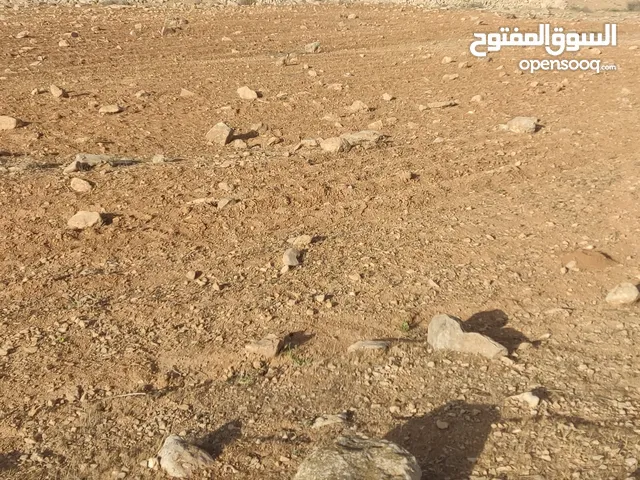 Mixed Use Land for Sale in Zarqa Other