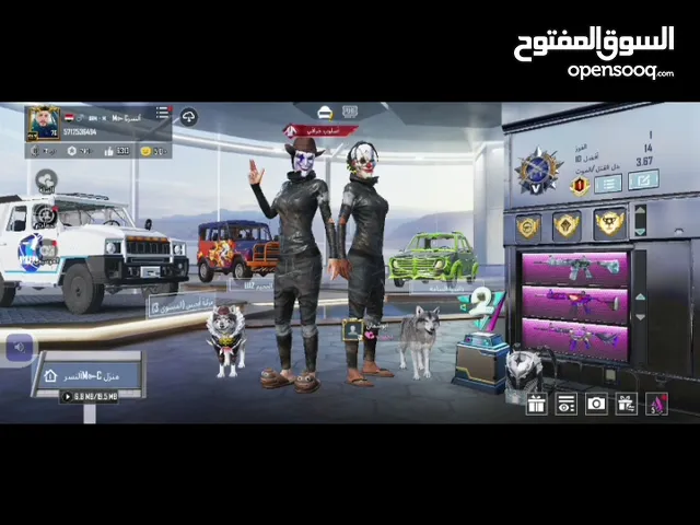 Pubg Accounts and Characters for Sale in Al Karak