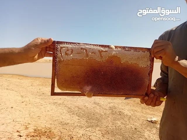 عسل طبيعي اصلي