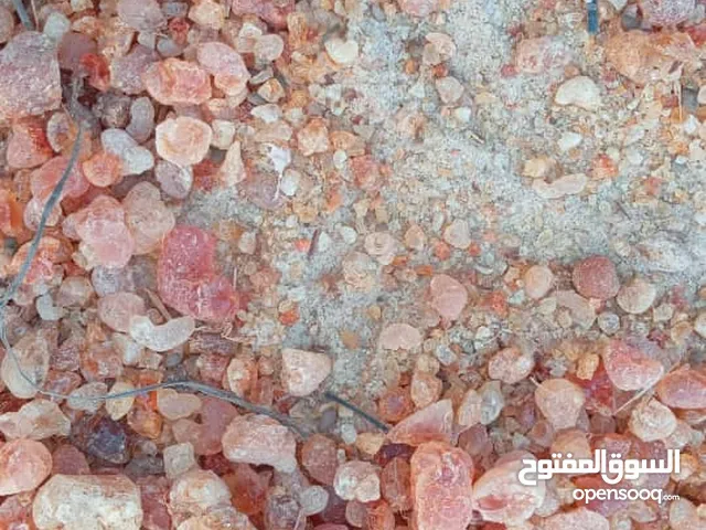 عدد 105 طن صمغ عربي هشاب للبيع