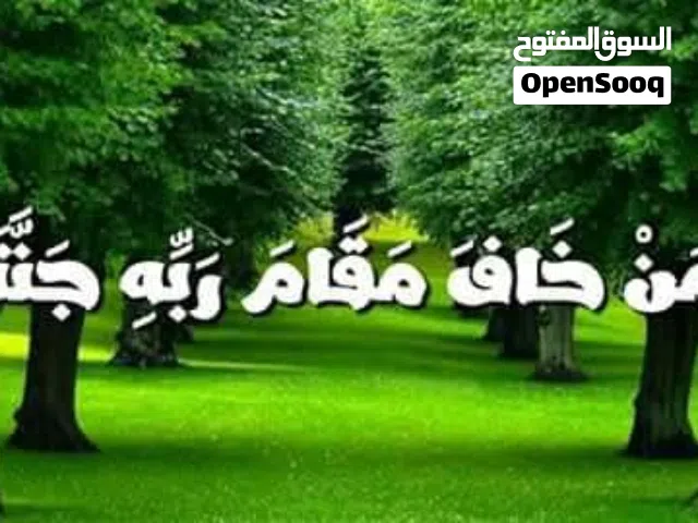 للايجار ڤلا دوبلكس سكني ثلاثة أدوار بسلم داخلي 2 غرفة 3 رسبشا 2 حمام مضبخ امريكاني فاخر للجدين