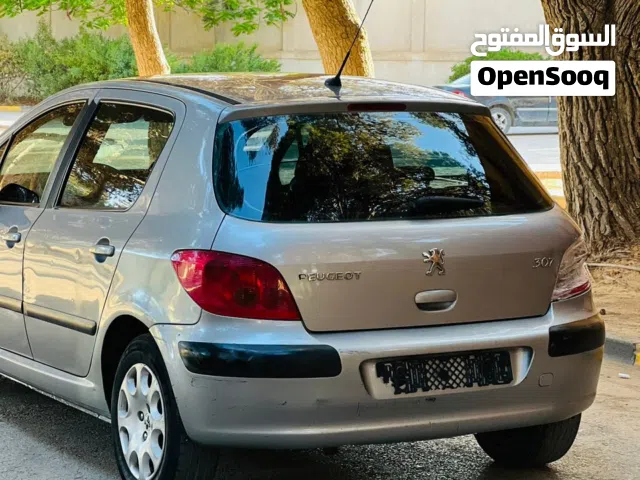 2004 Peugeot 307 SW