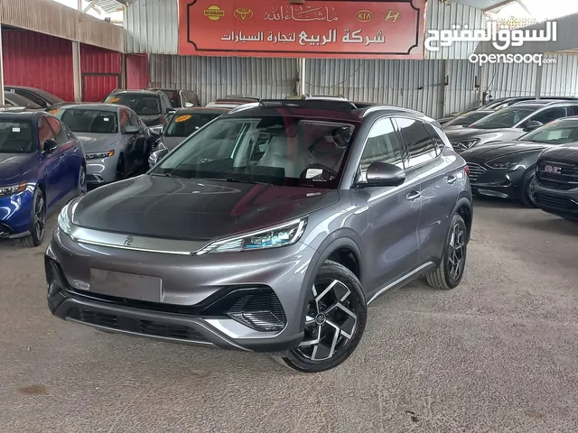 BYD_YUAN_PLUS_ADVANCED_2023 ممشى قليل فحص اتو سكور 94