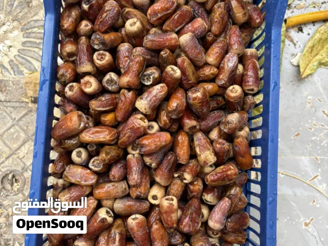 تمر نغال نظيف